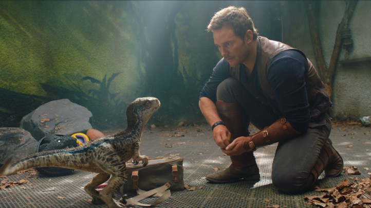 jurassic-world-2-fallen-kingdom-blue-owen